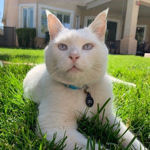 Meet your Posher, Elisabeth